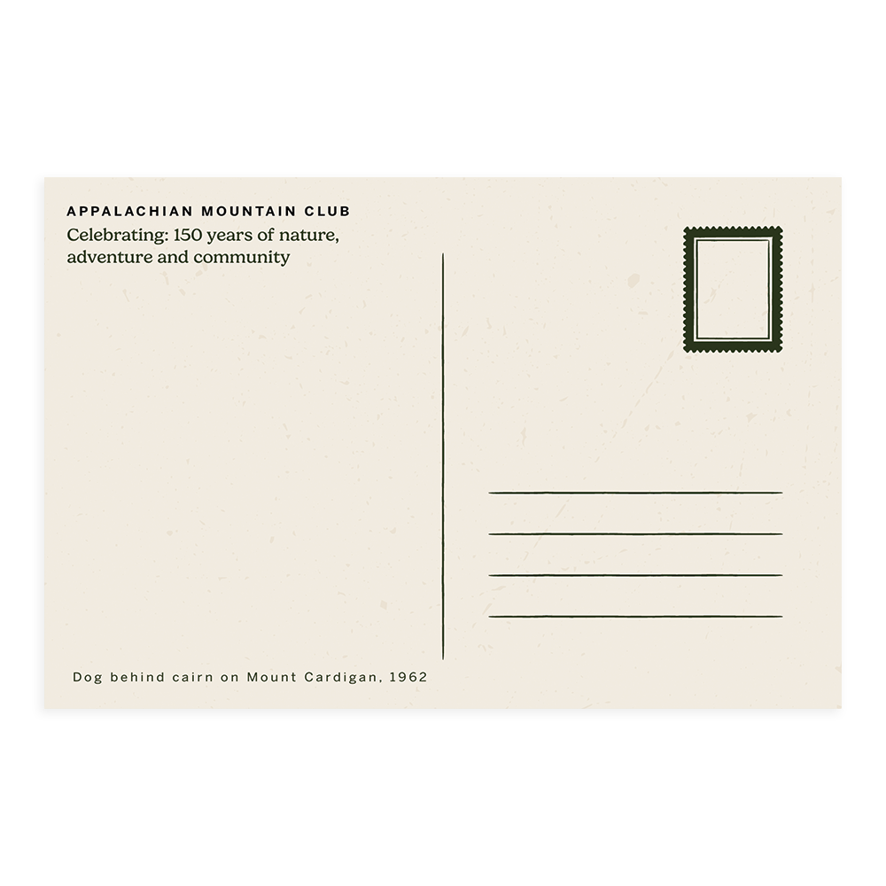 AMC 150 Kodachrome Postcard Set