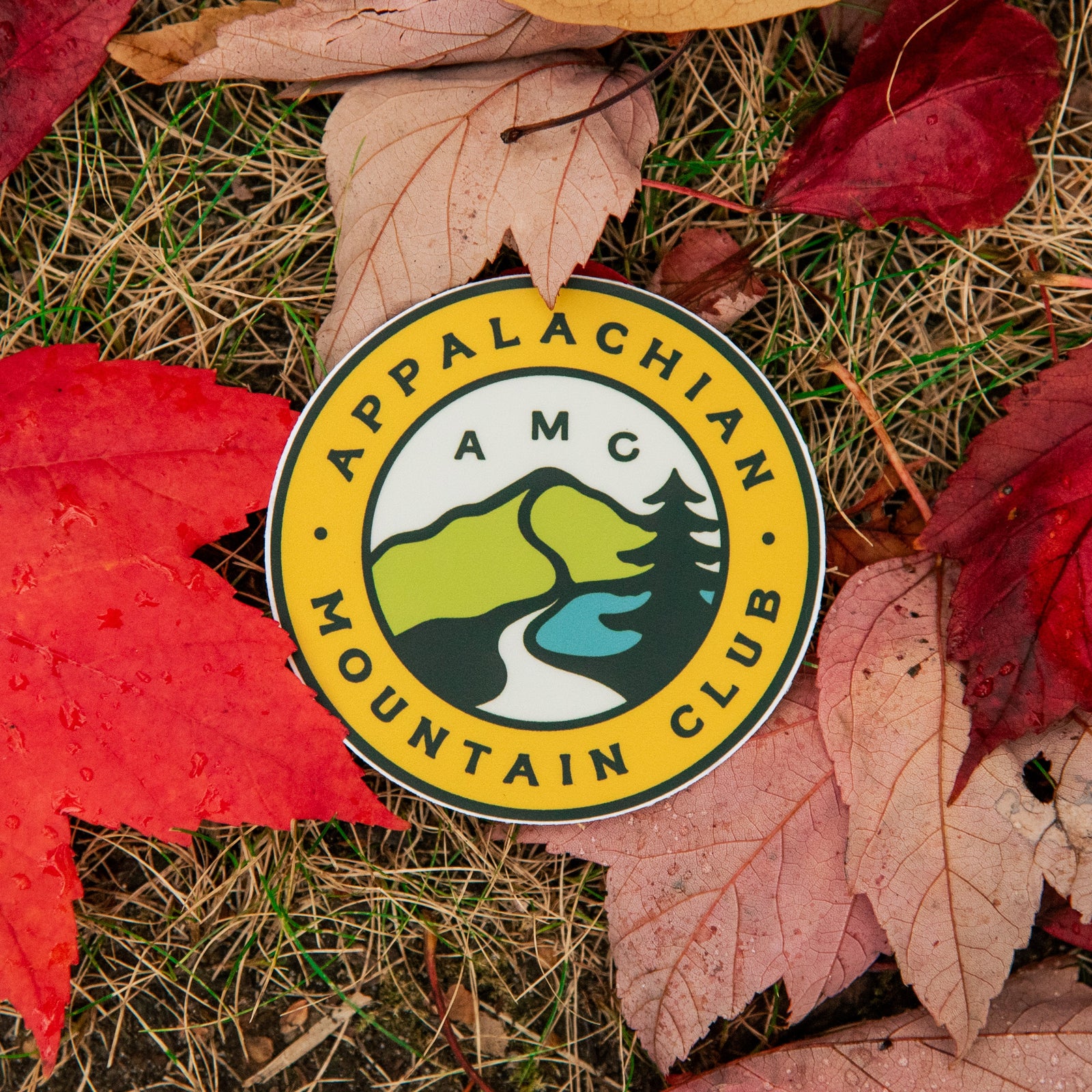 Appalachian Mountain Club Sticker