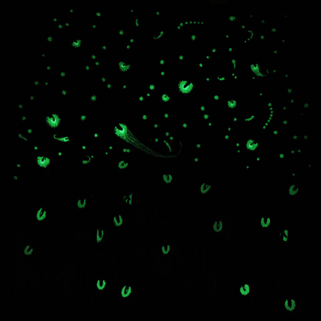 Glow in the Dark Fireflies T-Shirt