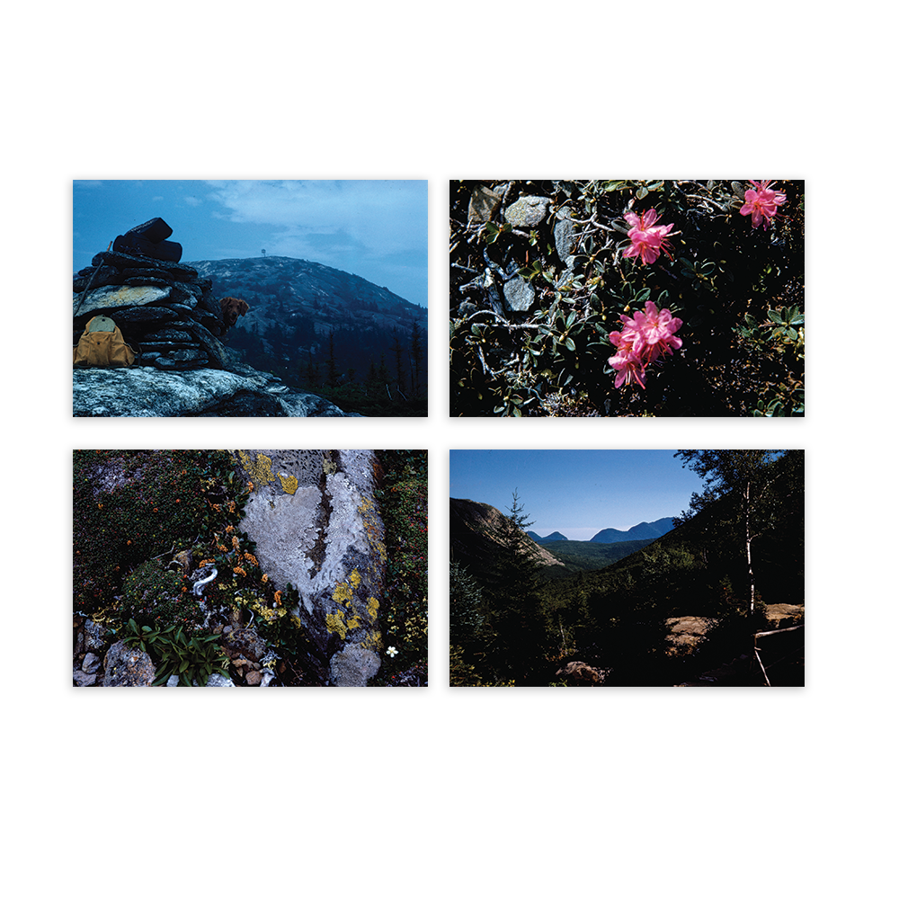 AMC 150 Kodachrome Postcard Set