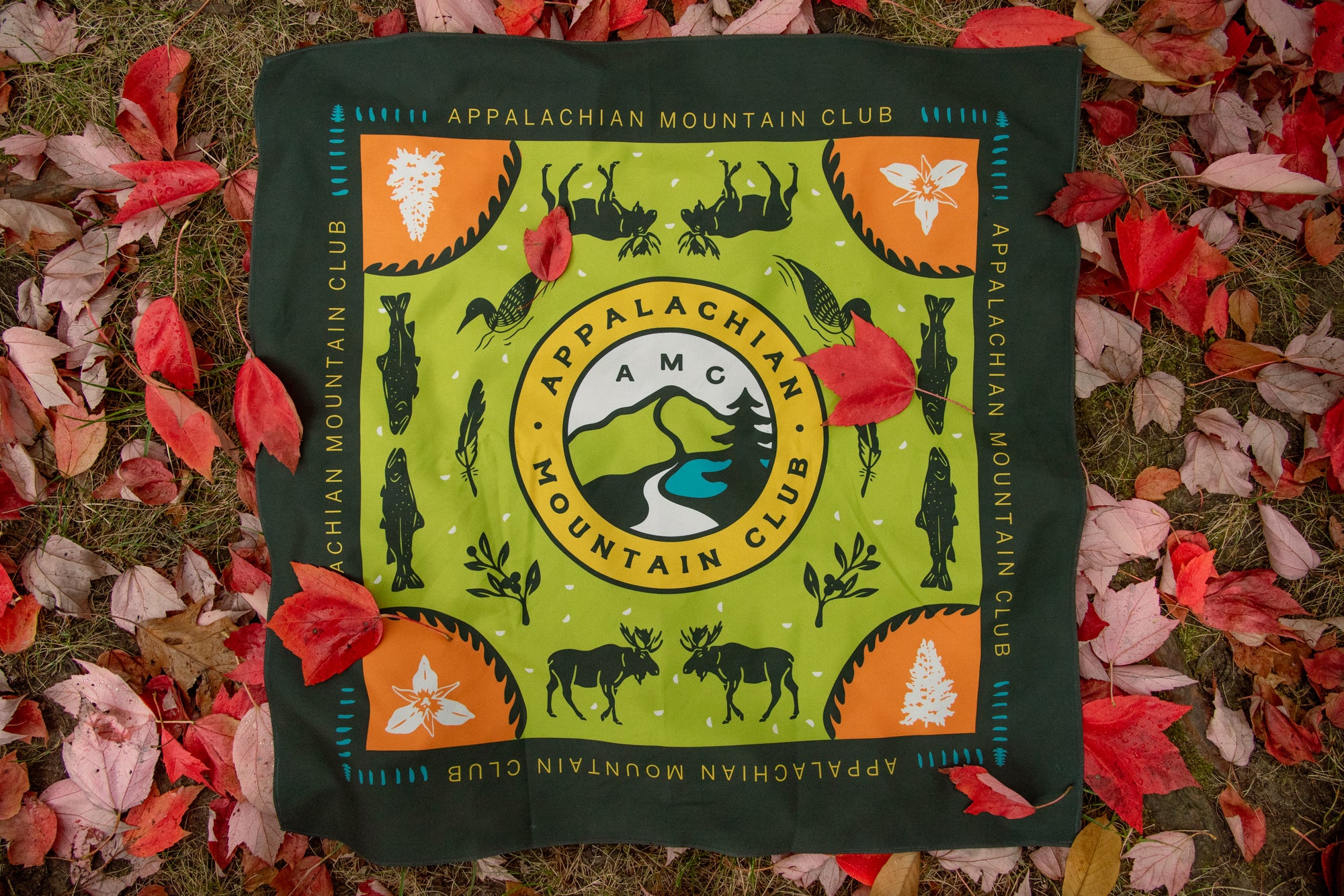 AMC Adventure Bandana