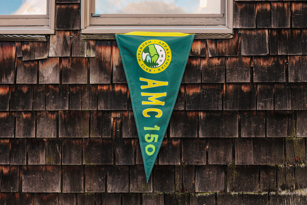 AMC 150 Nylon Pennant Flag