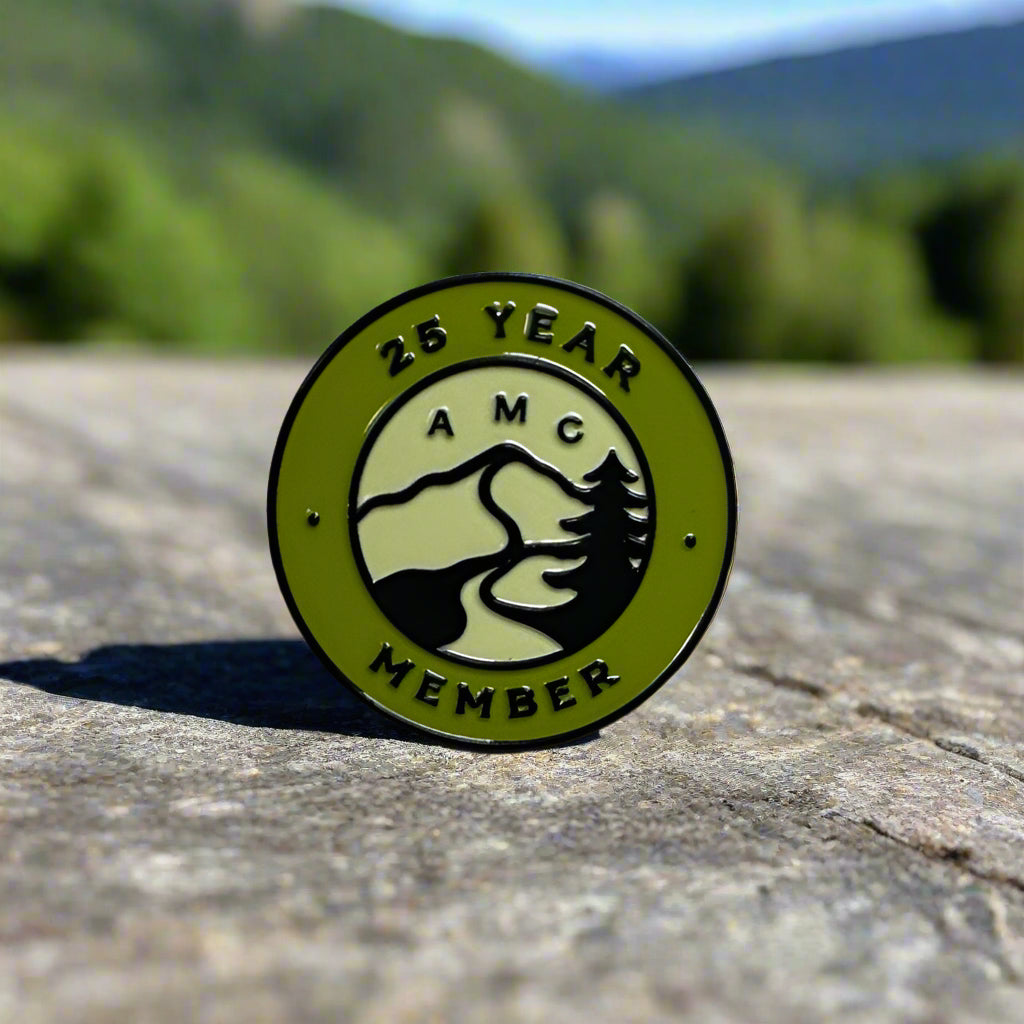 25 Year Member Pin