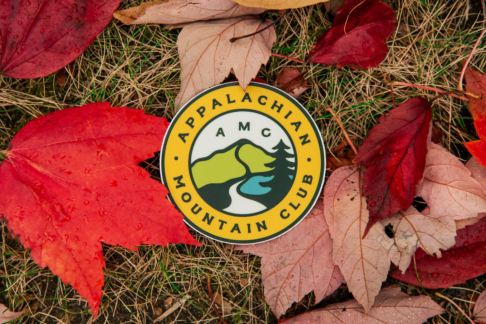 Appalachian Mountain Club Sticker