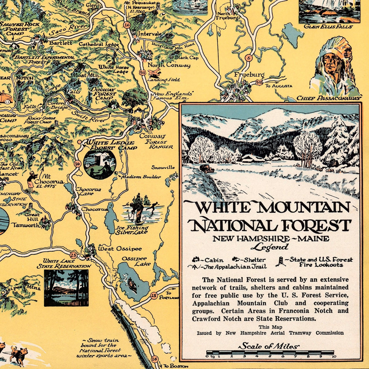 White Mountain National Forest Print