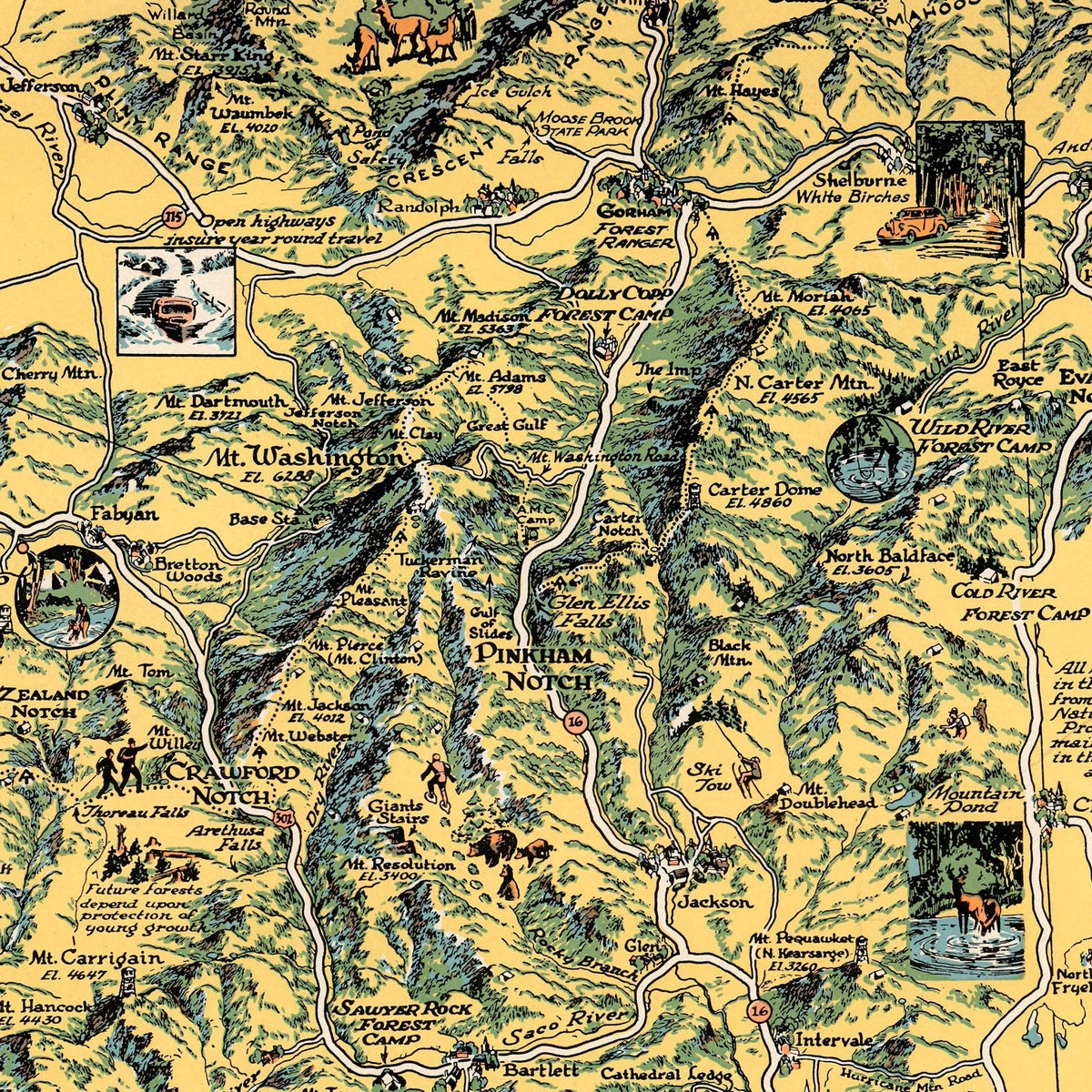 White Mountain National Forest Print