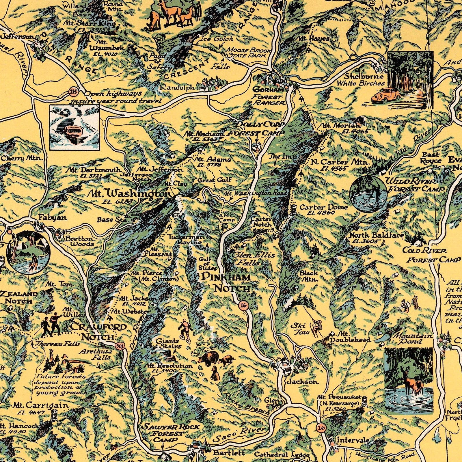 White Mountain National Forest Print