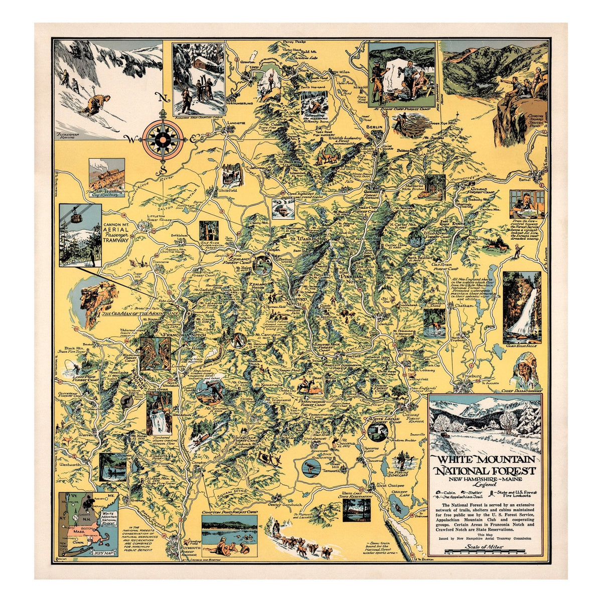 White Mountain National Forest Print
