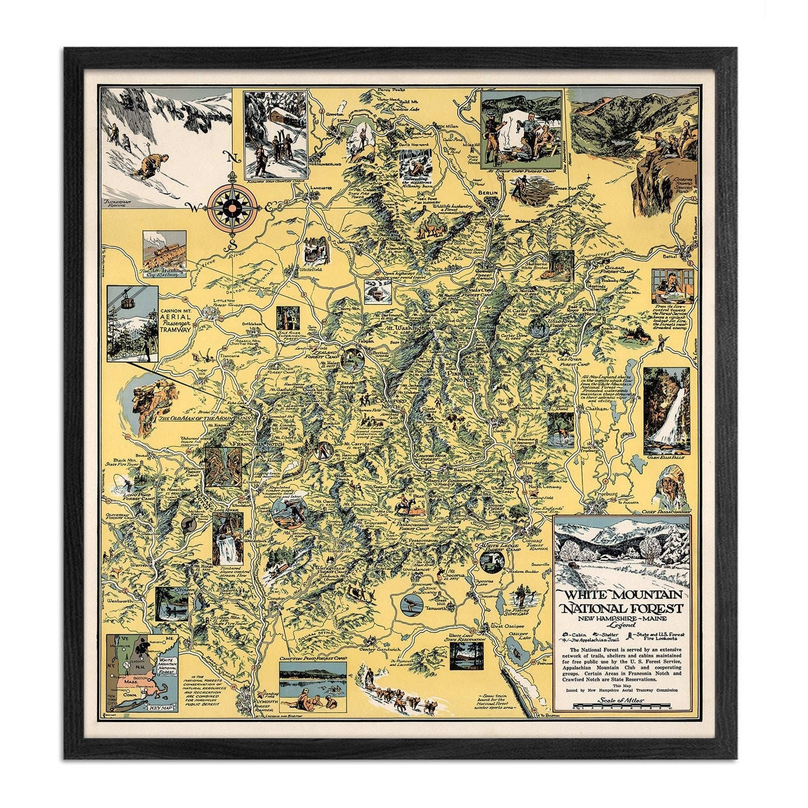 White Mountain National Forest Print