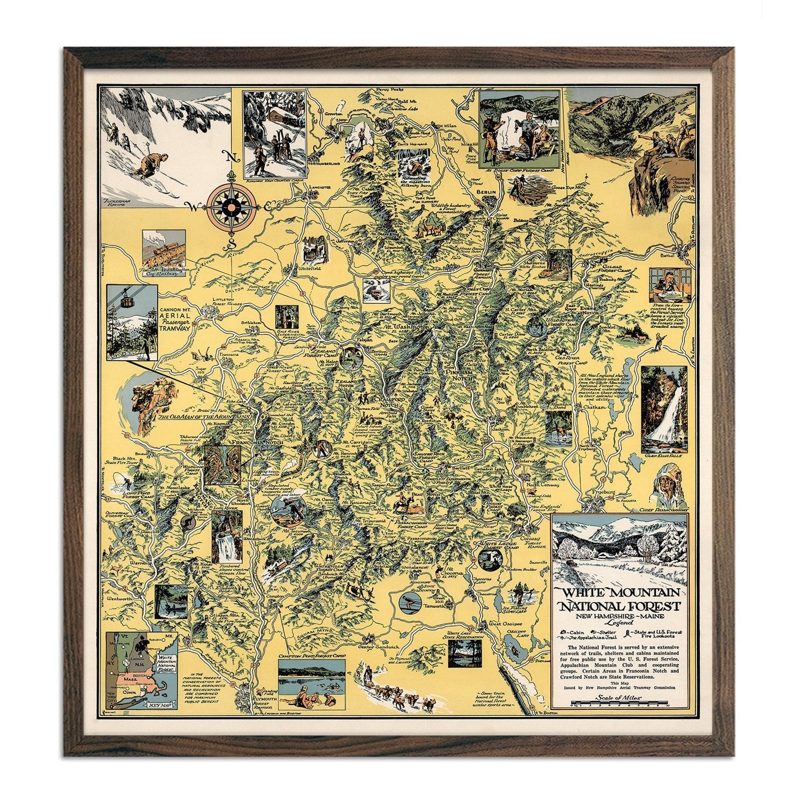 White Mountain National Forest Print