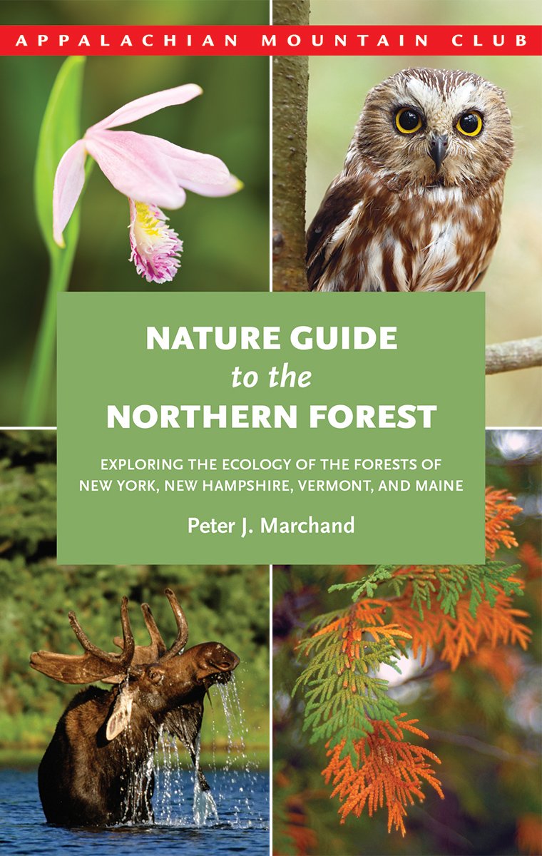 Nature Guide to the Northern Forest
