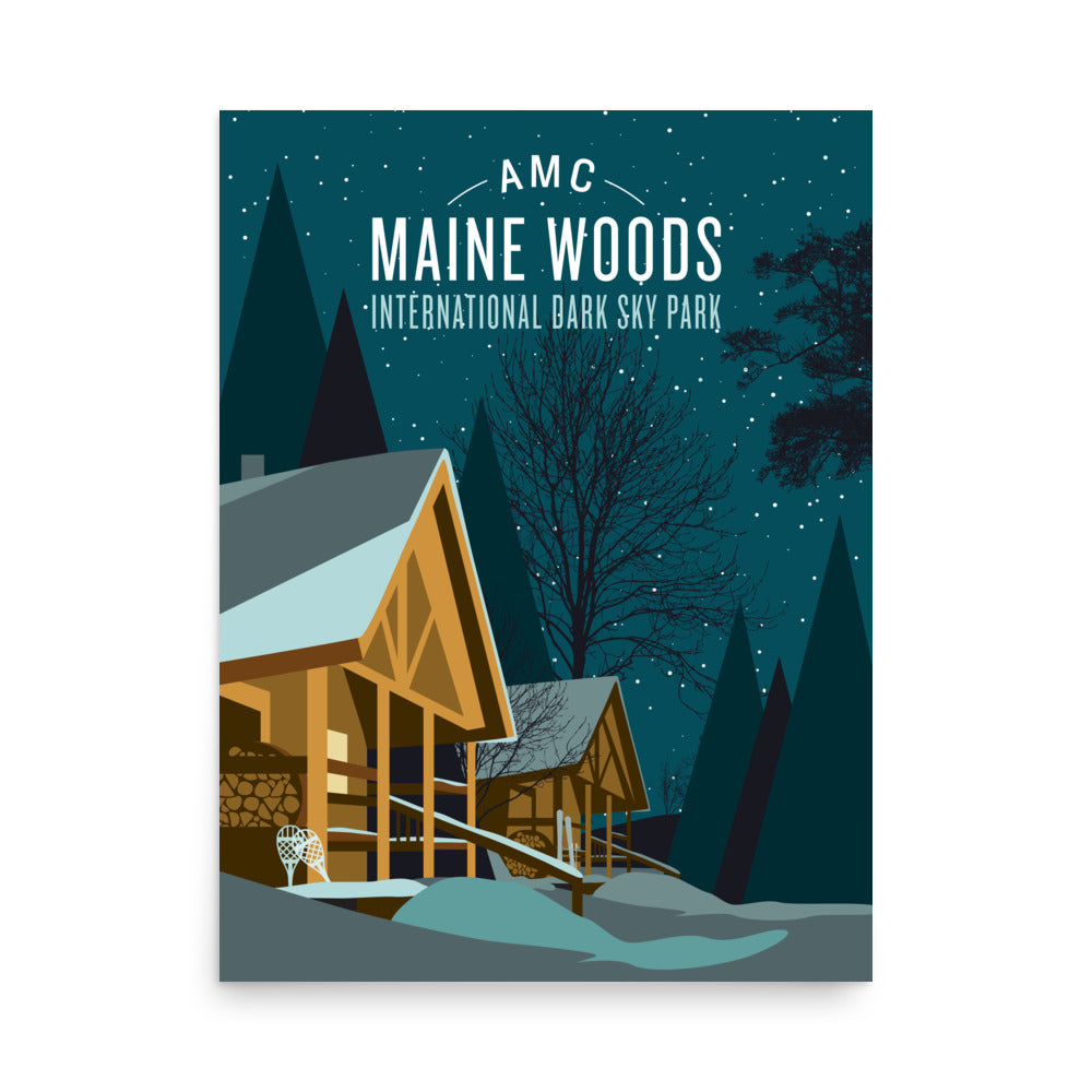 Maine Woods Winter Dark Sky Poster