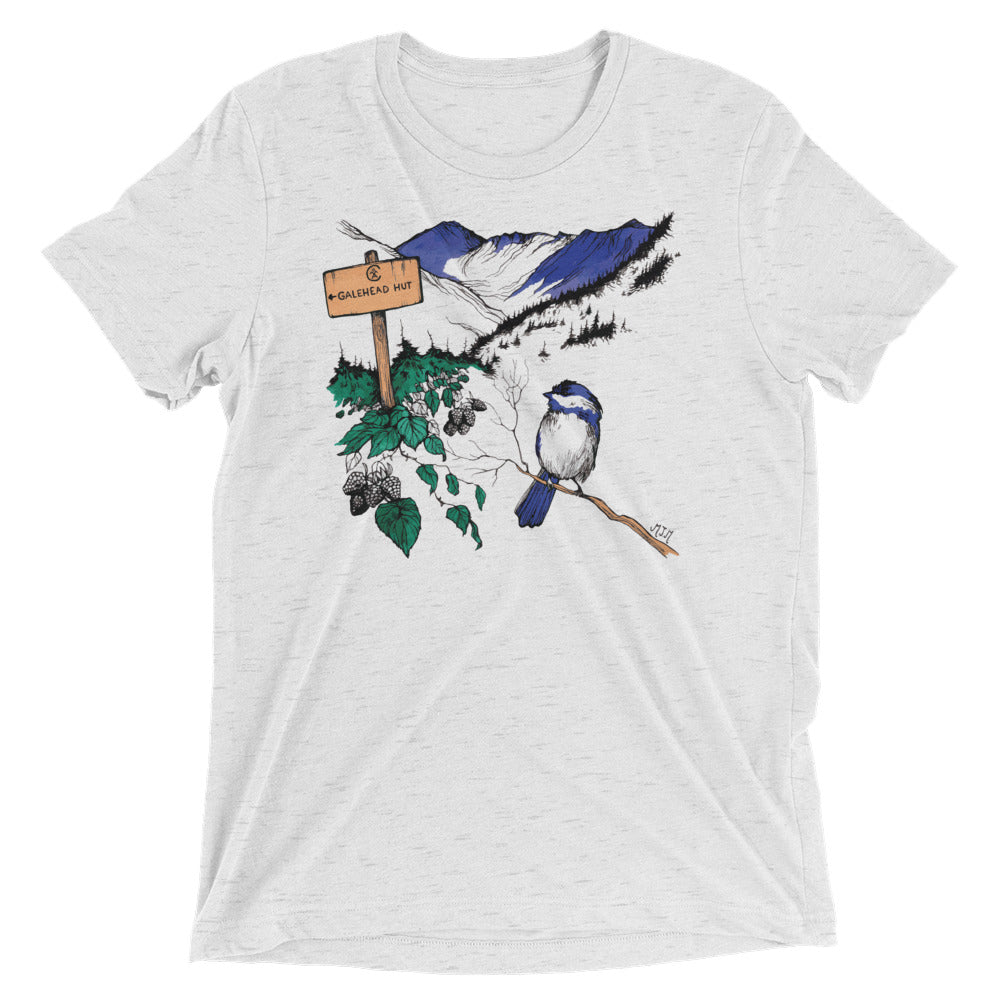 Watercolor Galehead Hut Tee